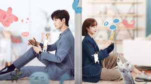 Xem Phim Bất Cẩn Meow Phải Anh