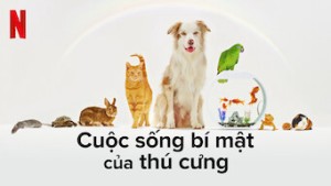 Phim Cuộc sống bí mật của thú cưng - The Hidden Lives of Pets (2022) Phim Cuộc sống bí mật của thú cưng - The Hidden Lives of Pets (2022)