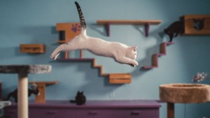 Phim Những chú mèo nghĩ gì - Inside the Mind of a Cat (2022) Phim Những chú mèo nghĩ gì - Inside the Mind of a Cat (2022)