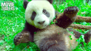Xem Phim Trái Đất: Một Ngày Tuyệt Vời